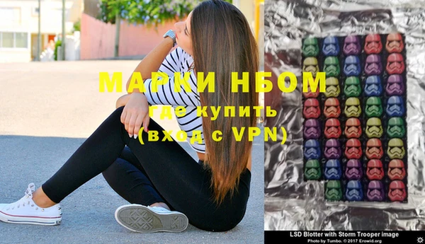 дмт Богданович