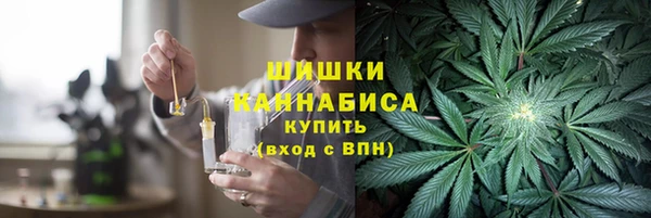 дмт Богданович