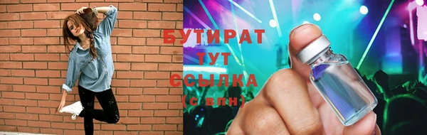 дмт Богданович