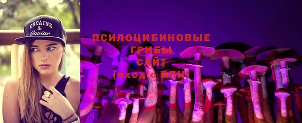 ALPHA-PVP Богородицк
