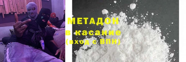 дмт Богданович