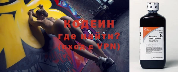 дмт Богданович