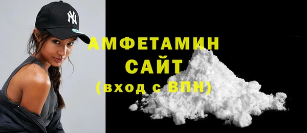 дмт Богданович