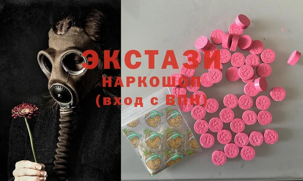 дмт Богданович