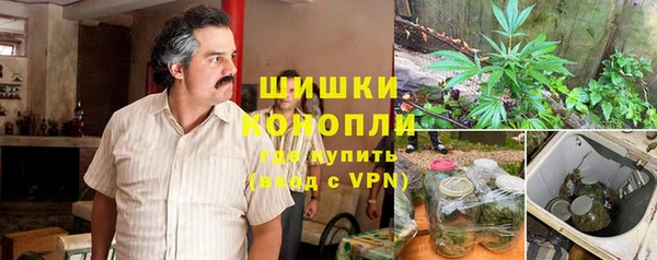 ALPHA-PVP Богородицк