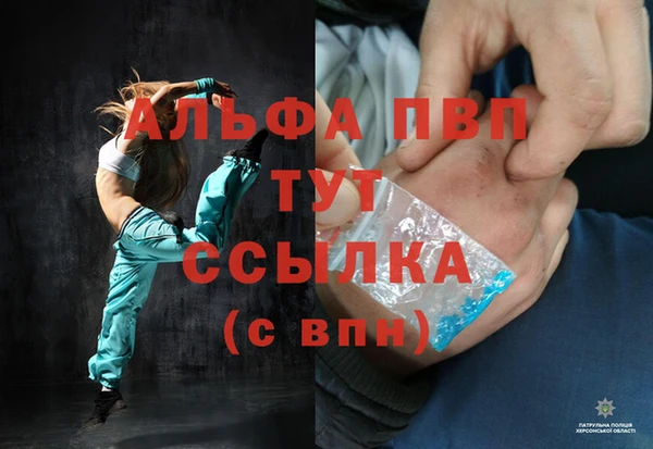 дмт Богданович