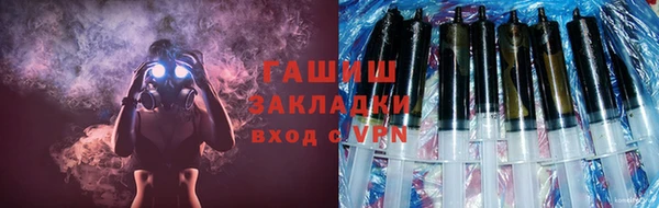 дмт Богданович